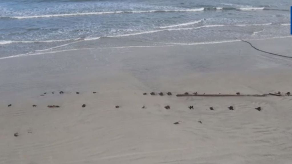 Arqueólogos estudian un “misterioso objeto” hallado en una playa de Estados Unidos.