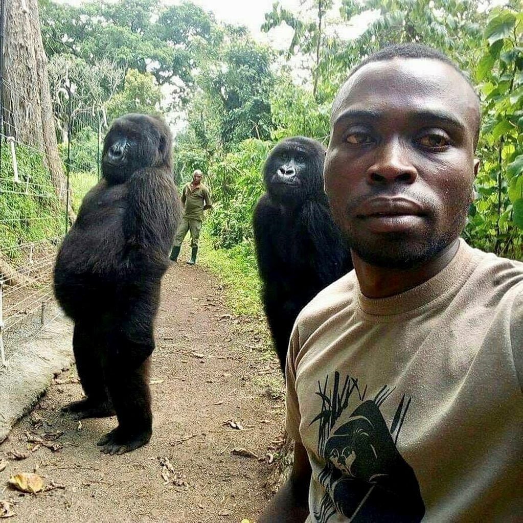 La famosa selfie de Ndakasi - AP