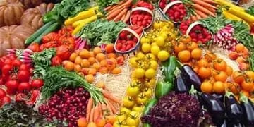 Desde el punto de vista nutricional, el vegano puede sufrir deficiencias proteínicas y de micronutrientes con consecuencias para la salud.