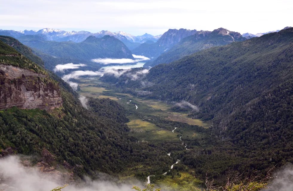 En el Parque Nacional Nahuel Huapí, norte de la Patagonia. El bosque está integrado mayormente por especies longevas de crecimiento reducido.