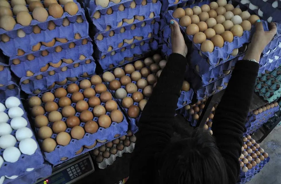 El precio de los huevos ya supera los $1.000 por maple en Mendoza. - Foto: Orlando Pelichotti / Los Andes