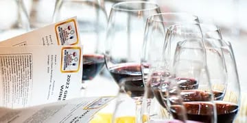 Semestre de ganadores: todos los vinos argentinos premiados este año