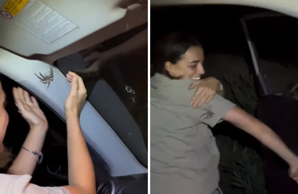 Una pareja de australianos se viralizo luego de mostrar la enorme araña que se había metido en el interior de su vehículo.