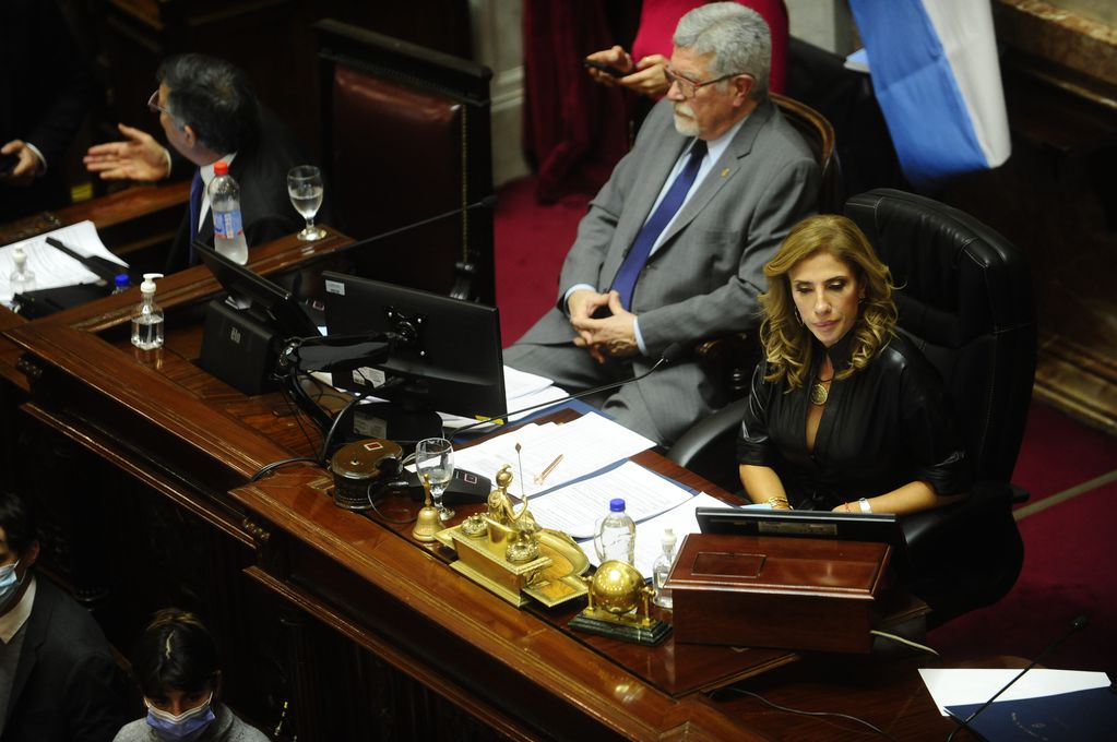Claudia Ledesma Abdala presidió la sesión en reemplazo de Cristina Kirchner (Foto: Clarín)