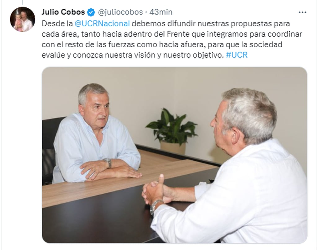 El presidente de la UCR, Gerardo Morales, recibió al diputado nacional mendocinos Julio Cobos.