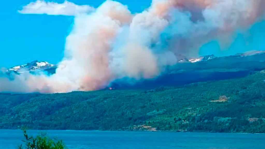 El incendio forestal en Chubut ya arrasó unas 65 hectáreas de bosque. Foto: Télam