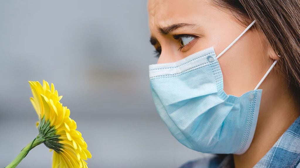 "En días con altas concentraciones de polen, puede llevar a un incremento del número de afecciones respiratorias" - 