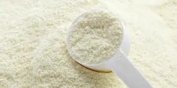 Cómo preparar leche en polvo sin grumos