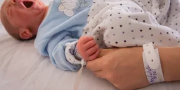 Un informe del ex Ministerio de Salud de la Nación muestra que en los últimos 10 años han disminuido los nacimientos. 