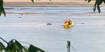 Creían que estaba muerto, pero solo dormía una siesta en el río y el video se volvió viral en la red