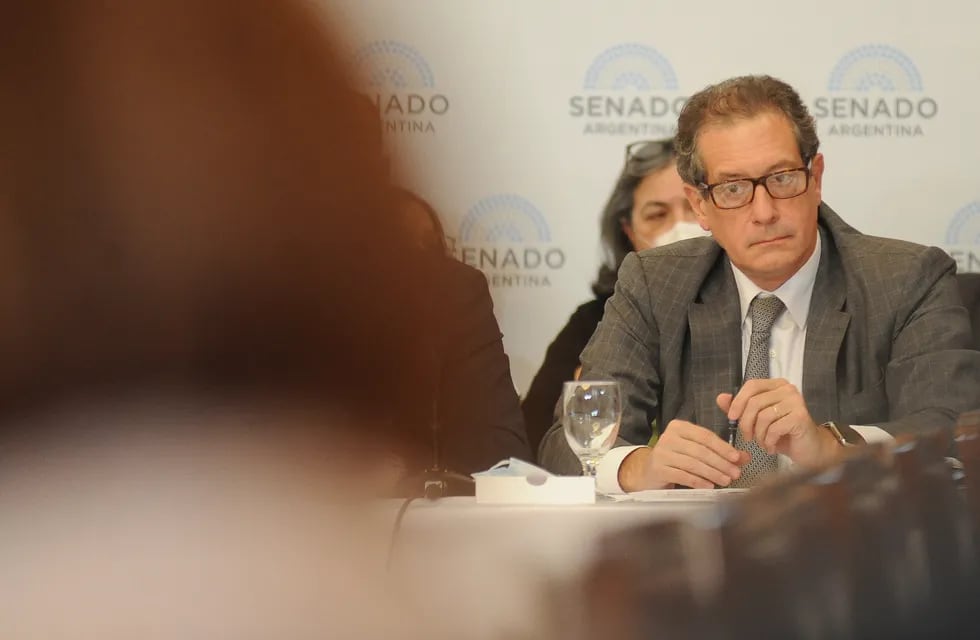 Sesión en el Senado por la deuda con el FMI . 
Miguel Pesce
Foto Federico Lopez Claro