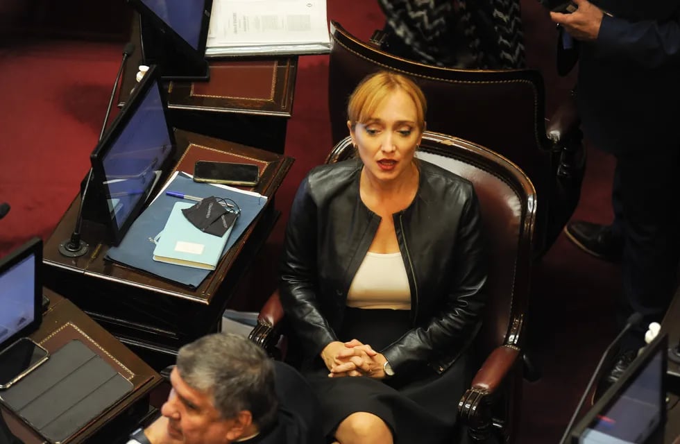 La senadora Anabel Fernández Sagasti.