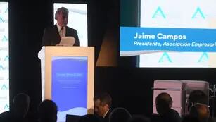Jaime Campos, el titular de la Asociación Empresaria Argentina. Federico López Claro / Clarín