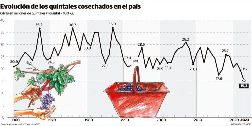 Evolución de la cosecha de uva en el país, desde 1960 a 2023. Datos del INV. Gustavo Guevara.