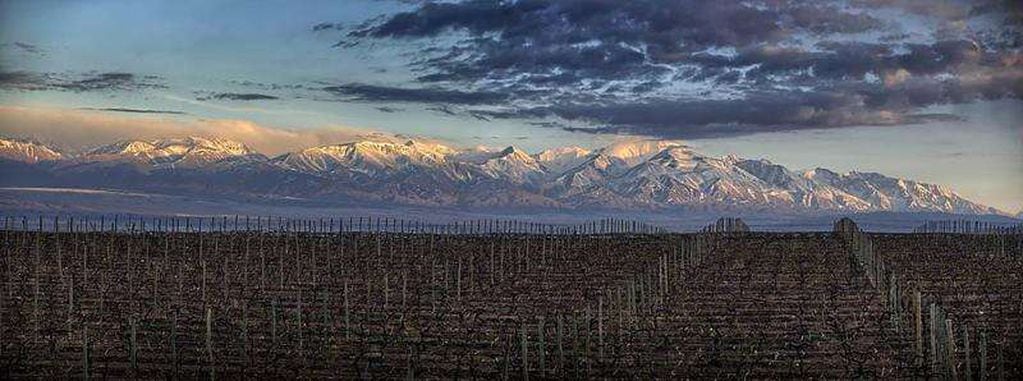 Los principales viñedos están ubicados en Valle de Uco, en una zona de gran altitud con una elevación de hasta 1200 metros sobre el nivel del mar.
