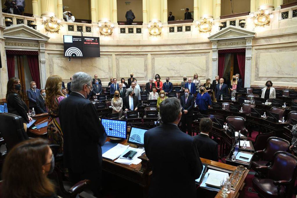Cristina Kirchner estuvo ausente en el comienzo de la sesión del Senado (Foto: Comunicación Senado)