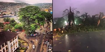 Fuerte tormenta destrozó un árbol emblemático de Sierra Leona