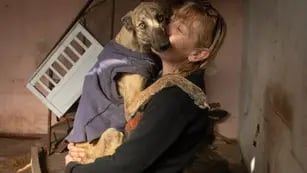 “Rousie” busca desesperada un nuevo refugio para sus 75 perros rescatados
