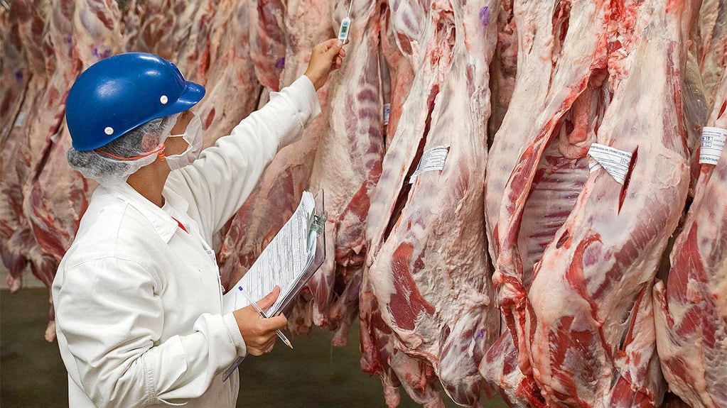 Carne, con dos aumentos programados: cuánto más habrá que pagar por kilo