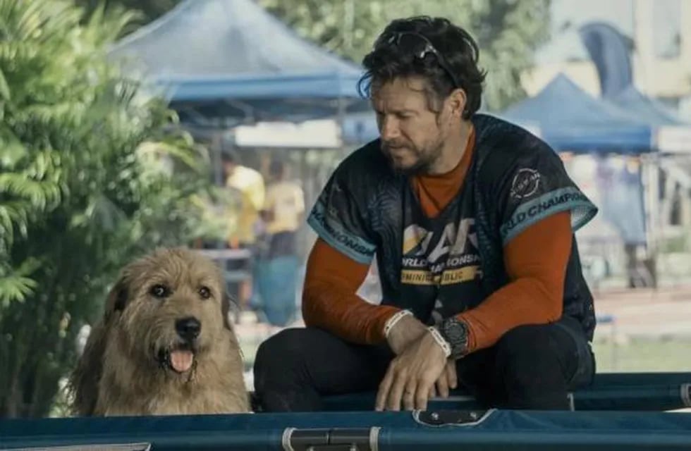 La película cuenta la aventura de un perro en la selva ecuatoriana.