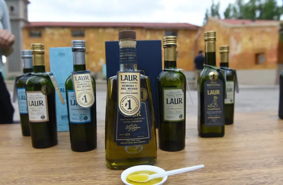 Laur se convirtió en la primera olivícola ubicada fuera de Europa en encabezar el ranking de las 100 mejores del mundo. - Gentileza