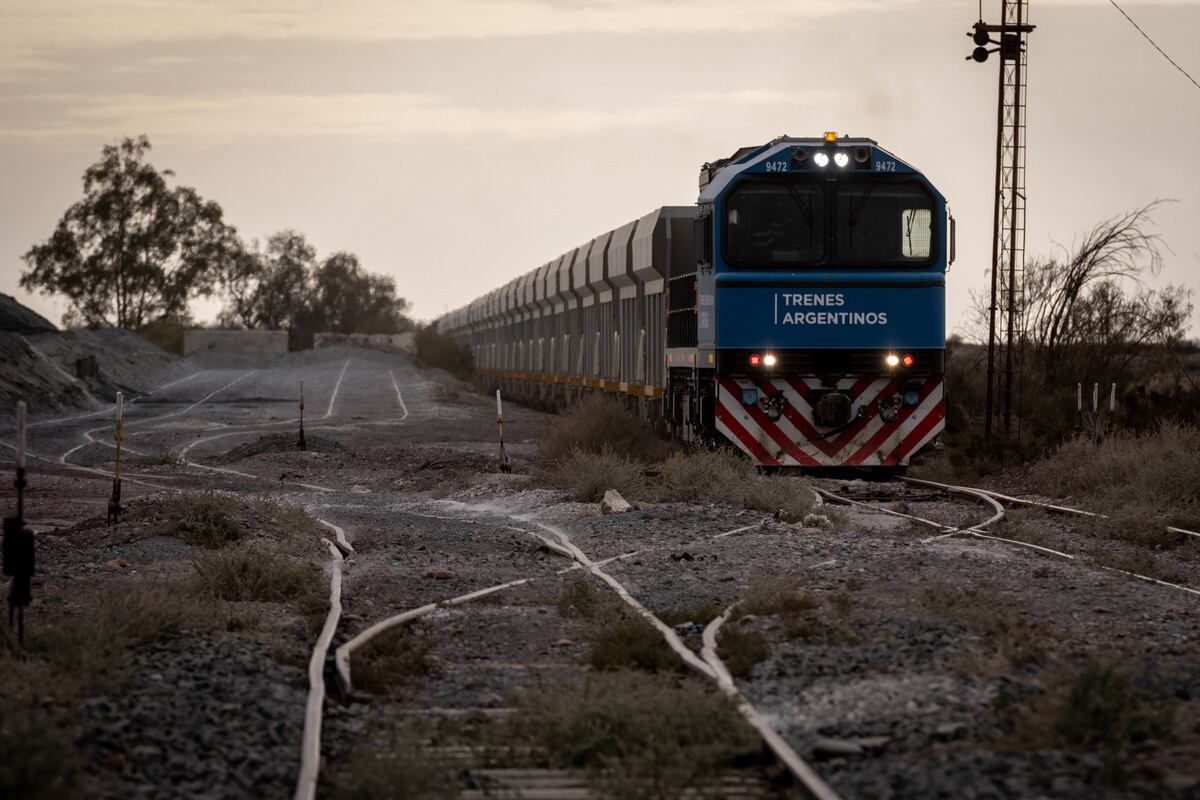 Trenes Argentinos Cargas