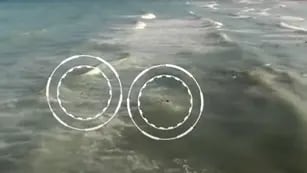 Video: un drone le lanzó un salvavidas a un chico y lo salvó de morir ahogado