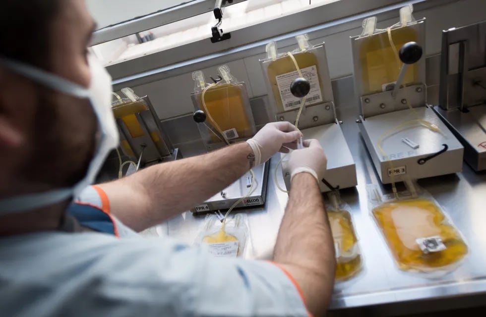 Laboratorio. Técnicas del Centro de Hemoterapia provincial procesan y  clasifican las bolsas de plasma donado por pacientes recuperados de coronavirus. Foto: Ignacio Blanco / Los Andes