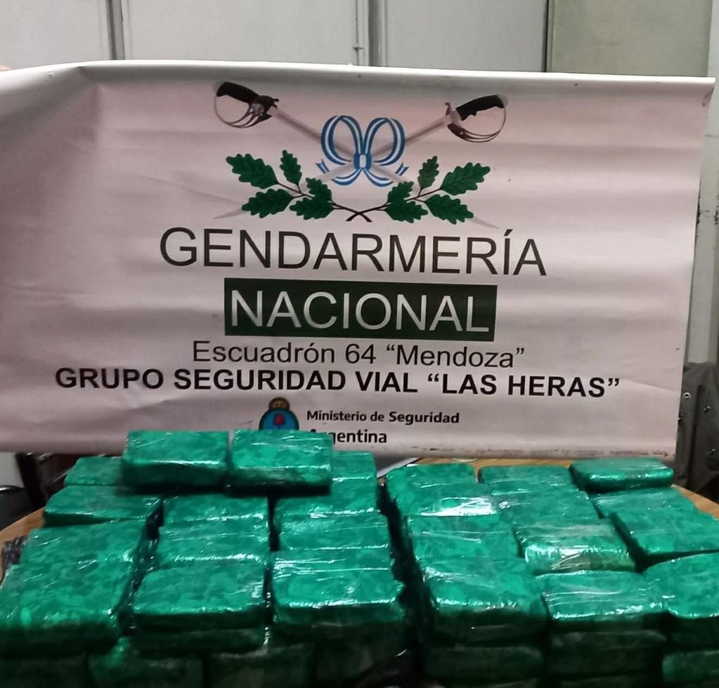 Los hojas de coca decomisadas ayer en Mendoza. Gentileza Gendarmería Nacional.