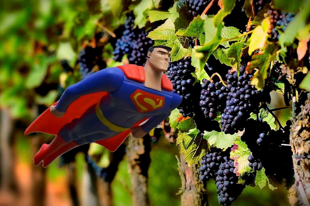 Superman, ¿ya analizaron tu epigenoma?