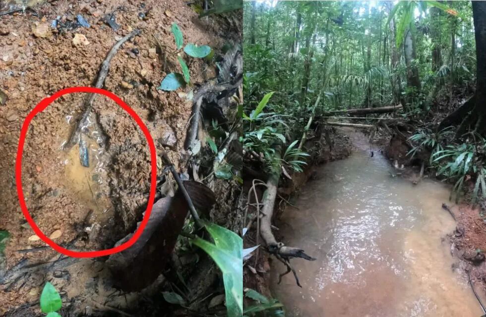 Encontraron “huellas frescas” que podrían ser de los cuatro niños desaparecidos en la selva colombiana tras estrellarse una avioneta.