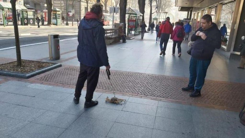 un hombre sacó a pasear a su cangrejo con correa