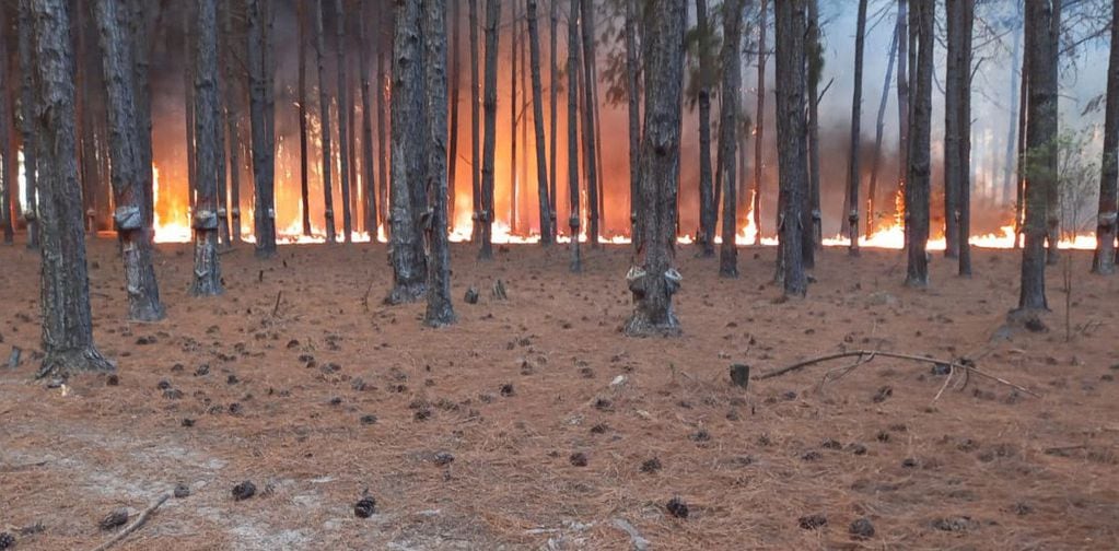 Incendios en Corrientes (Clarín)