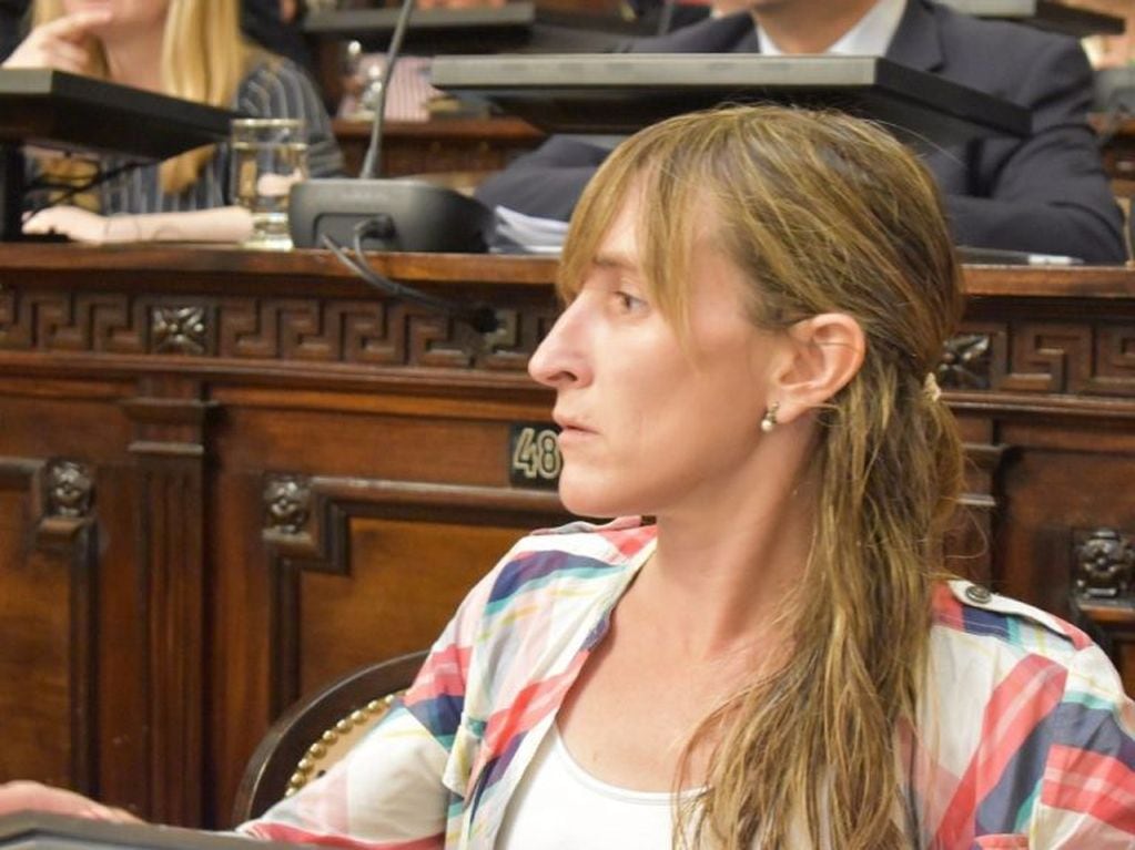 La diputada del Partido Demócrata, Mercedes Llano anunció el retiro de su partido del frente gubernamental\u002E