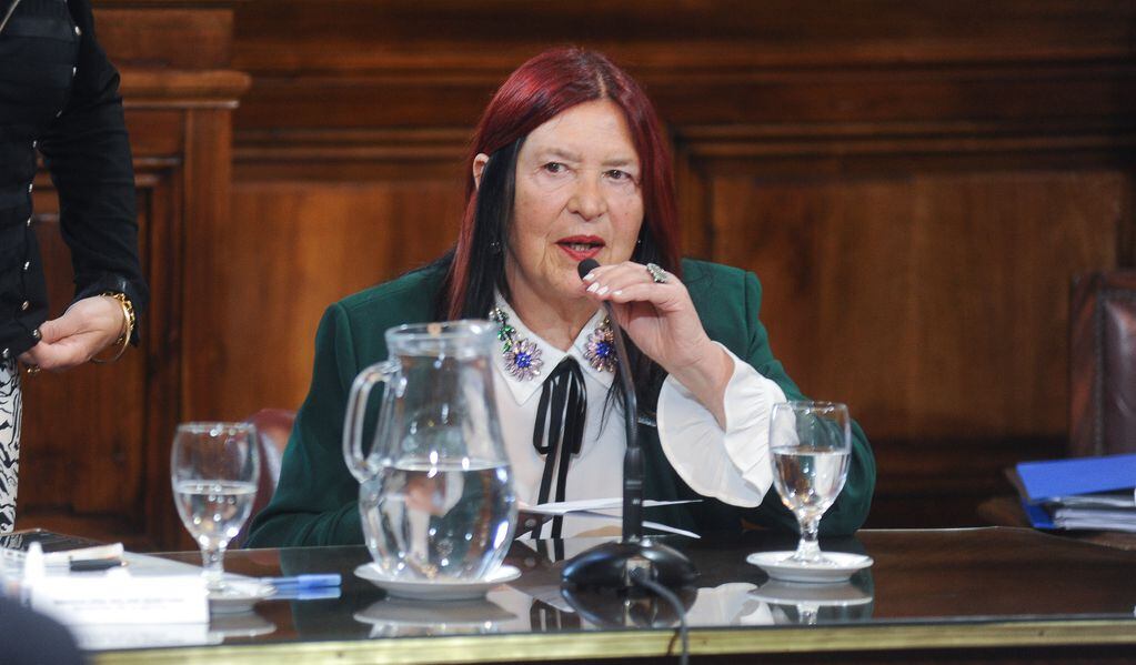 Ana María Figueroa en el Senado - Foto Federico Lopez Claro