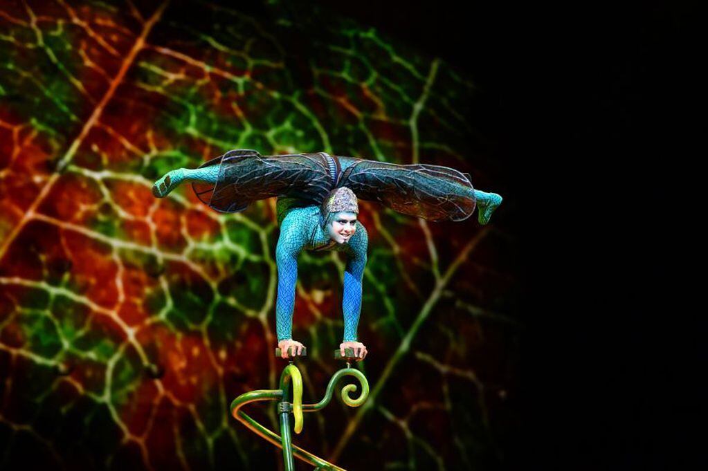 
Los equilibristas son parte de las destrezas de “OVO”. | Prensa Cirque Du Soleil
   