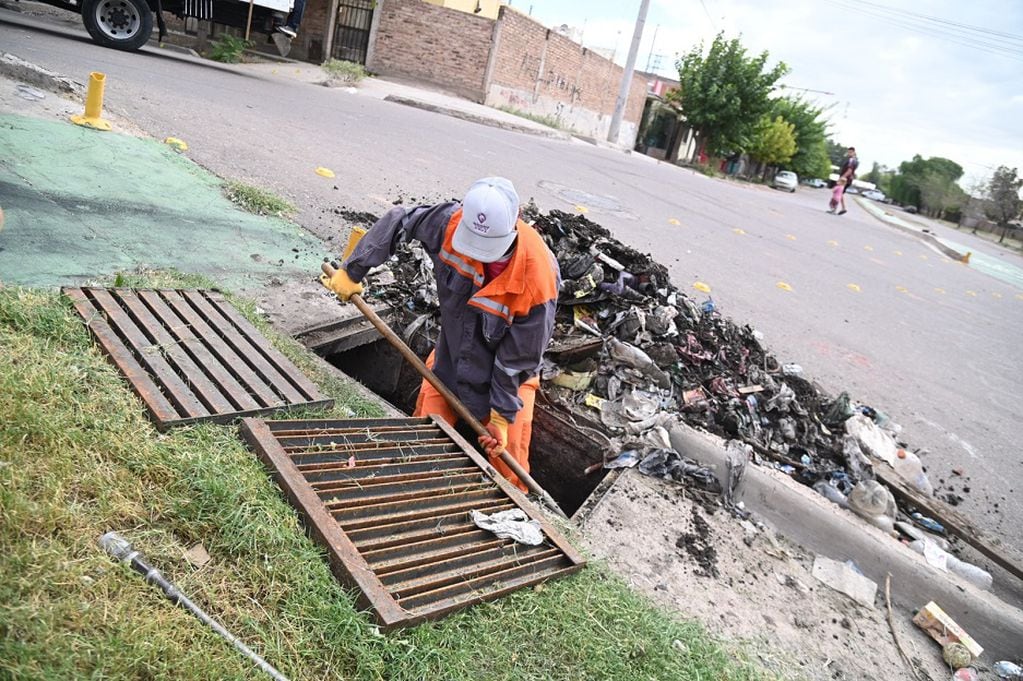 Cronograma de poda, limpieza y pavimentación en Godoy Cruz. Foto: Municipalidad de Godoy Cruz.