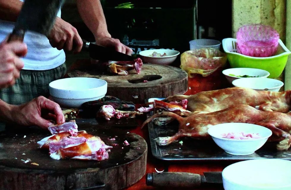 Comer carne de gato, la moda gastronómica en Vietnam
