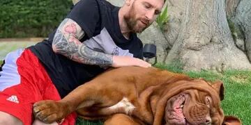 Lionel Messi, la "China" Suárez, Lizy Tagliani o Mirko: todos comparten el amor por sus mascotas. Mirá la galería de fotos.