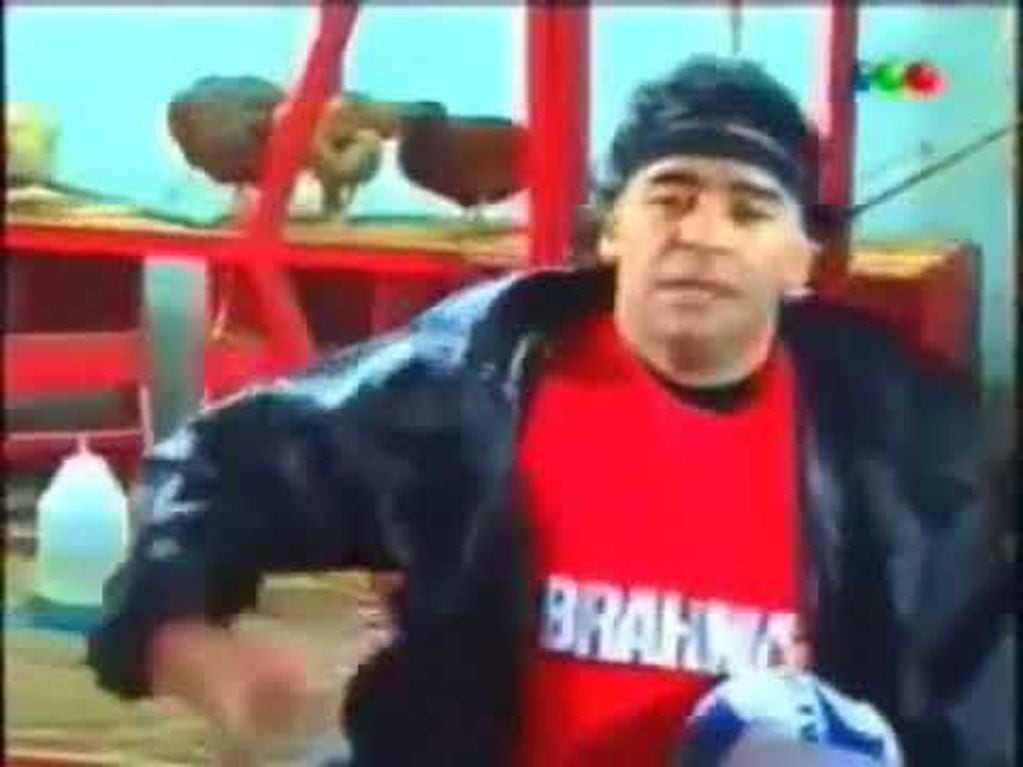 Se creó el mito sobre qué tenía la bolsita blanca que dejó Maradona en Gran Hermano