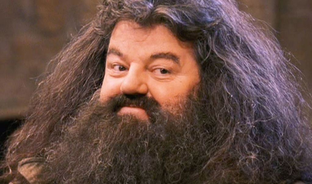 El carismático personaje Hagrid durante toda la saga de Harry Potter.
