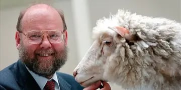 Murió el científico Ian Wilmut, pionero de la clonación y "padre" de oveja Dolly
