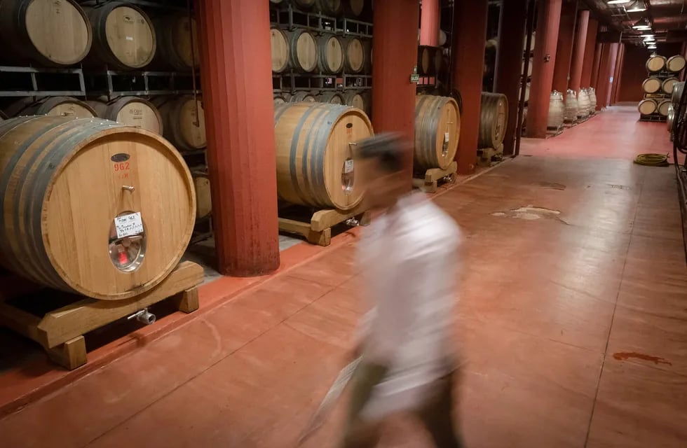Trabajadores vitivinícolas reclaman el pago de haberes. Foto: Ignacio Blanco / Los Andes