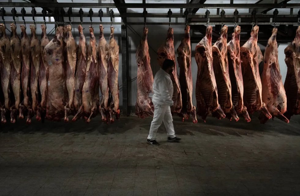 Las exportaciones argentinas de carne aumentaron en 2022, pero el nivel de participación en las ventas al exterior del Mercosur es el más bajo de los últimos tres años. Foto: Ignacio Blanco / Los Andes