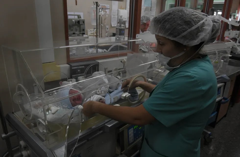 Cristina cuida a uno de los bebés internados en la sala de Neonatología del Hospital Lagomaggiore / Orlando Pelichotti