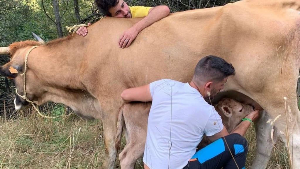 Isidro y Baldo ellos son una pareja gay de ganaderos y dueños de 100 vacas. Gentileza: El Diario.es.
