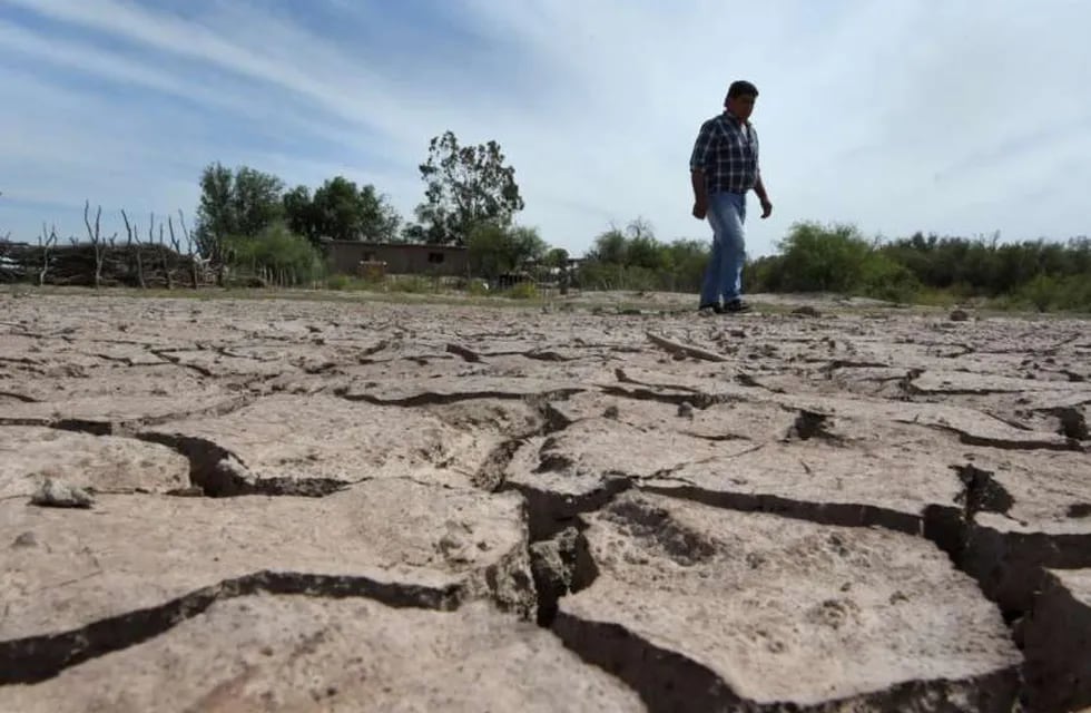 productores reclaman un plan de emergencia y temen que llegue una "mega sequía". - Los Andes