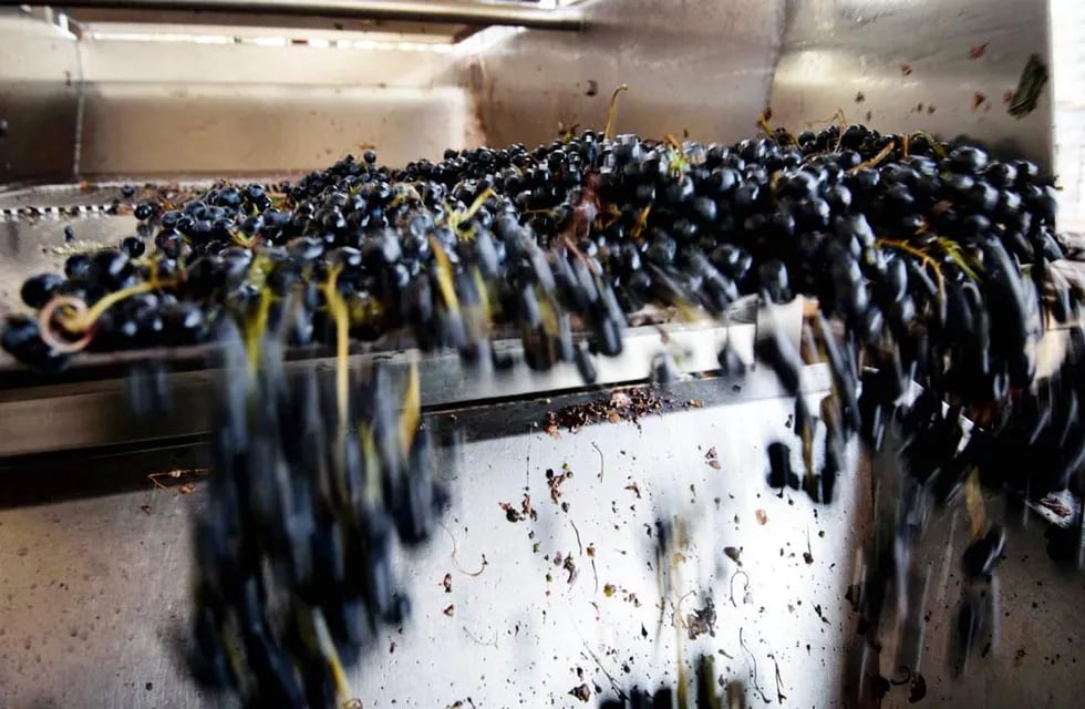 Exportaciones: en lo que va de 2018 se duplicaron los envíos de vinos a granel