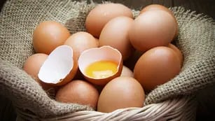 ¿Cómo congelar los huevos crudos y cocidos?
