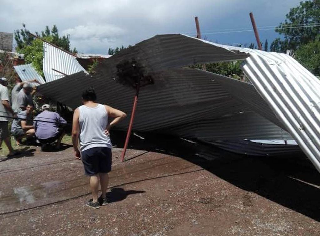 Una tormenta con fuertes vientos y abundante agua provocó caída de árboles, cables cortados y techos volados en la zona Este de Mendoza. 
